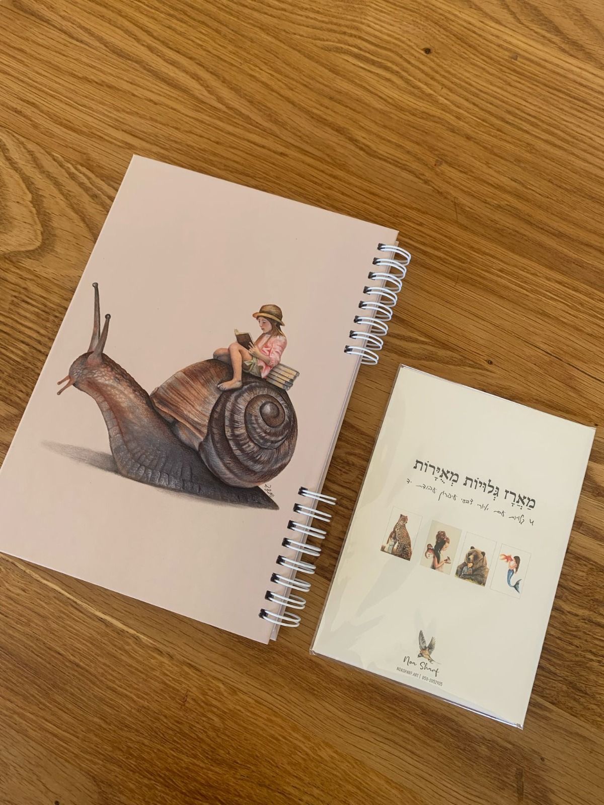 דוגמת ספר